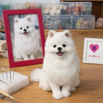 羊毛フェルト そっくり ペット オーダーメイド｜写真から作る ペットリアル ぬいぐるみ｜愛犬 愛猫 ロス メモリアル レプリカ