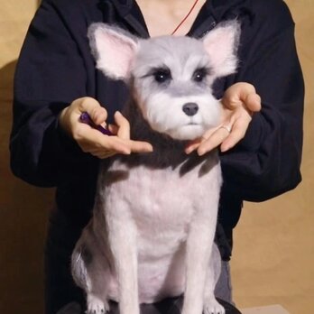 【受注作製】羊毛フェルト、うちの子、犬ぬいぐるみ、フェルト犬、ペットの肖像画、犬猫人形、トイプードル、ペットロス、うちのこ記念日の画像
