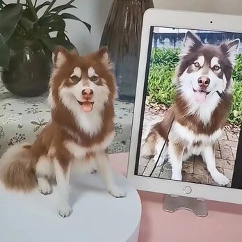 【受注作製】羊毛フェルト、うちの子、犬ぬいぐるみ、フェルト犬、ペットの肖像画、犬猫人形、トイプードル、ペットロス、うちのこ記念日の画像