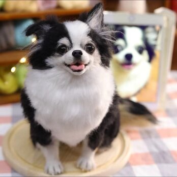 【受注作製】羊毛フェルト、うちの子、犬ぬいぐるみ、フェルト犬、ペットの肖像画、犬猫人形、トイプードル、ペットロス、うちのこ記念日の画像