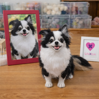 羊毛フェルト そっくり ペット オーダーメイド｜写真から作る リアル ペットぬいぐるみ｜愛犬 愛猫 虹の橋 メモリアル ペット