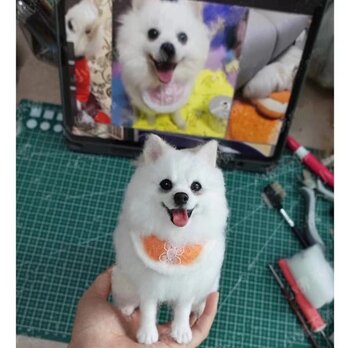 【受注作製】羊毛フェルト、うちの子、犬ぬいぐるみ、フェルト犬、ペットの肖像画、犬猫人形、トイプードル、ペットロス、うちのこ記念日の画像