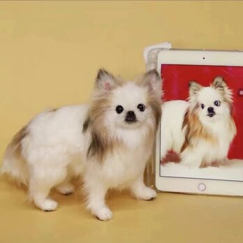 【受注作製】羊毛フェルト、うちの子、犬ぬいぐるみ、フェルト犬、ペットの肖像画、犬猫人形、トイプードル、ペットロス、うちのこ記念日の画像