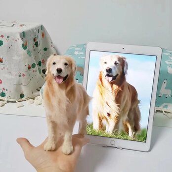 【受注作製】羊毛フェルト、うちの子、犬ぬいぐるみ、フェルト犬、ペットの肖像画、犬猫人形、トイプードル、ペットロス、うちのこ記念日の画像