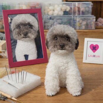羊毛フェルト そっくり ペット オーダーメイド｜写真から作る ペットリアル ぬいぐるみ｜愛犬 愛猫 うちの子 形見 思い出 保存