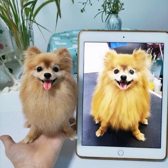 【受注作製】羊毛フェルト、うちの子、犬ぬいぐるみ、フェルト犬、ペットの肖像画、犬猫人形、トイプードル、ペットロス、うちのこ記念日の画像