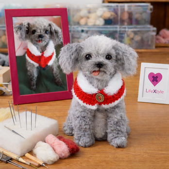 羊毛フェルト そっくり ペット オーダーメイド｜写真から作る ペットリアルぬいぐるみ｜愛犬 愛猫 うちの子 ロス 癒し グッズ