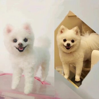 【受注作製】羊毛フェルト、うちの子、犬ぬいぐるみ、フェルト犬、ペットの肖像画、犬猫人形、トイプードル、ペットロス、うちのこ記念日の画像