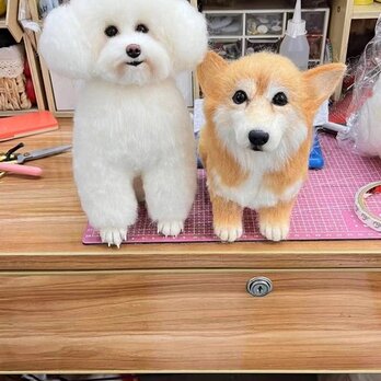 【受注作製】羊毛フェルト、うちの子、犬ぬいぐるみ、フェルト犬、ペットの肖像画、犬猫人形、トイプードル、ペットロス、うちのこ記念日の画像