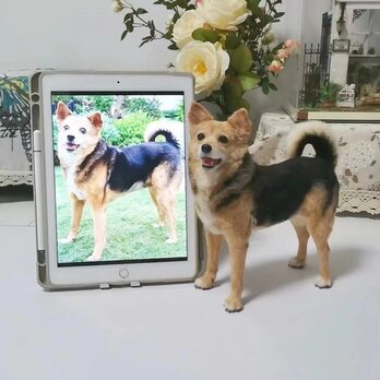 【受注作製】羊毛フェルト、うちの子、犬ぬいぐるみ、フェルト犬、ペットの肖像画、犬猫人形、トイプードル、ペットロス、うちのこ記念日の画像