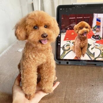 【受注作製】羊毛フェルト、うちの子、犬ぬいぐるみ、フェルト犬、ペットの肖像画、犬猫人形、トイプードル、ペットロス、うちのこ記念日の画像