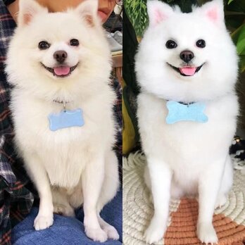 【受注作製】羊毛フェルト、うちの子、犬ぬいぐるみ、フェルト犬、ペットの肖像画、犬猫人形、トイプードル、ペットロス、うちのこ記念日の画像