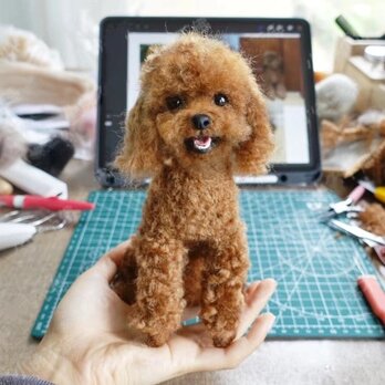 【受注作製】羊毛フェルト、うちの子、犬ぬいぐるみ、フェルト犬、ペットの肖像画、犬猫人形、トイプードル、ペットロス、うちのこ記念日の画像