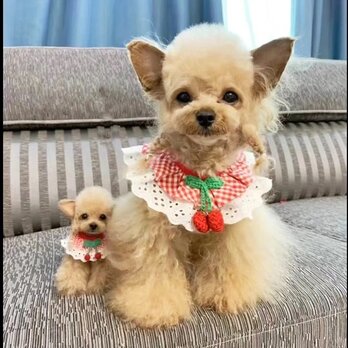 【受注作製】羊毛フェルト、うちの子、犬ぬいぐるみ、フェルト犬、ペットの肖像画、犬猫人形、トイプードル、ペットロス、うちのこ記念日の画像