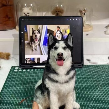 【受注作製】羊毛フェルト、うちの子、犬ぬいぐるみ、フェルト犬、ペットの肖像画、犬猫人形、トイプードル、ペットロス、うちのこ記念日の画像
