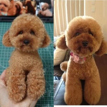 【受注作製】羊毛フェルト、うちの子、犬ぬいぐるみ、フェルト犬、ペットの肖像画、犬猫人形、トイプードル、ペットロス、うちのこ記念日の画像
