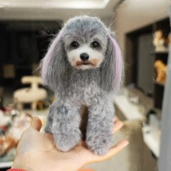 【受注作製】羊毛フェルト、うちの子、犬ぬいぐるみ、フェルト犬、ペットの肖像画、犬猫人形、トイプードル、ペットロス、うちのこ記念日の画像