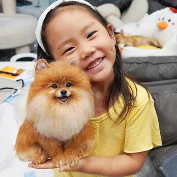 【受注作製】羊毛フェルト、うちの子、犬ぬいぐるみ、フェルト犬、ペットの肖像画、犬猫人形、トイプードル、ペットロス、うちのこ記念日の画像