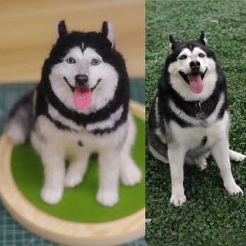 【受注作製】羊毛フェルト、うちの子、犬ぬいぐるみ、フェルト犬、ペットの肖像画、犬猫人形、トイプードル、ペットロス、うちのこ記念日の画像