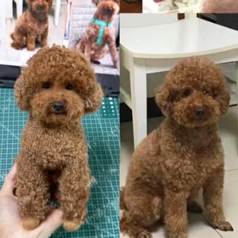 【受注作製】羊毛フェルト、うちの子、犬ぬいぐるみ、フェルト犬、ペットの肖像画、犬猫人形、トイプードル、ペットロス、うちのこ記念日の画像