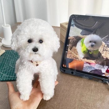 【受注作製】羊毛フェルト、うちの子、犬ぬいぐるみ、フェルト犬、ペットの肖像画、犬猫人形、トイプードル、ペットロス、うちのこ記念日の画像