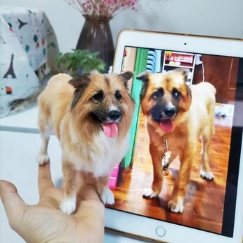 【受注作製】羊毛フェルト、うちの子、犬ぬいぐるみ、フェルト犬、ペットの肖像画、犬猫人形、トイプードル、ペットロス、うちのこ記念日の画像