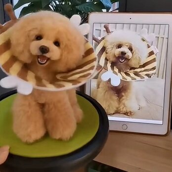 【受注作製】羊毛フェルト、うちの子、犬ぬいぐるみ、フェルト犬、ペットの肖像画、犬猫人形、トイプードル、ペットロス、うちのこ記念日の画像