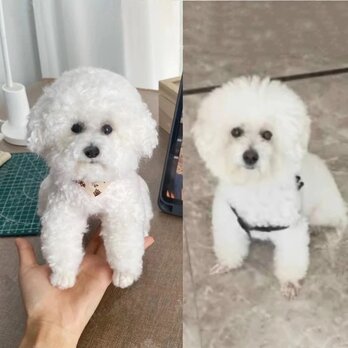 【受注作製】羊毛フェルト、うちの子、犬ぬいぐるみ、フェルト犬、ペットの肖像画、犬猫人形、トイプードル、ペットロス、うちのこ記念日の画像