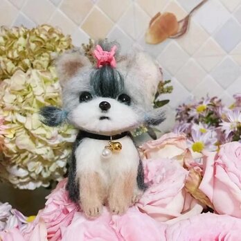 【受注作製】羊毛フェルト、うちの子、犬ぬいぐるみ、フェルト犬、ペットの肖像画、犬猫人形、トイプードル、ペットロス、うちのこ記念日の画像
