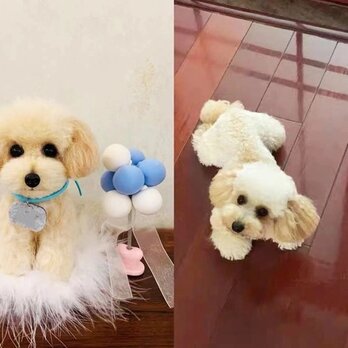 【受注作製】羊毛フェルト、うちの子、犬ぬいぐるみ、フェルト犬、ペットの肖像画、犬猫人形、トイプードル、ペットロス、うちのこ記念日の画像