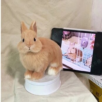 オーダーメイドペット】羊毛フェルトウサギ、うちの子 うさぎ、ぬいぐるみ、フェルト、肖像画、人形 プレゼントやギフトにの画像