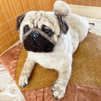 【受注作製】羊毛フェルト、うちの子、犬ぬいぐるみ、フェルト犬、ペットの肖像画、犬猫人形、トイプードル、ペットロス、うちのこ記念日の画像