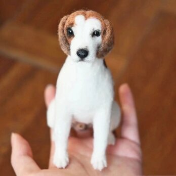 【受注作製】羊毛フェルト、うちの子、犬ぬいぐるみ、フェルト犬、ペットの肖像画、犬猫人形、トイプードル、ペットロス、うちのこ記念日の画像