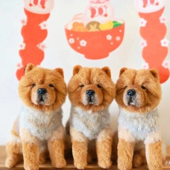 【受注作製】羊毛フェルト、うちの子、犬ぬいぐるみ、フェルト犬、ペットの肖像画、犬猫人形、トイプードル、ペットロス、うちのこ記念日の画像