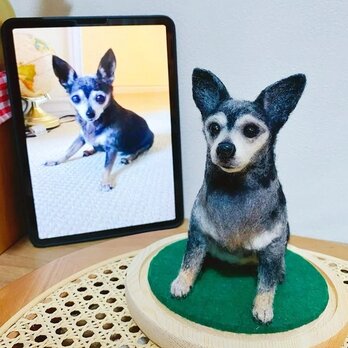 【受注作製】羊毛フェルト、うちの子、犬ぬいぐるみ、フェルト犬、ペットの肖像画、犬猫人形、トイプードル、ペットロス、うちのこ記念日の画像