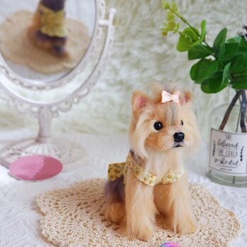 【受注作製】羊毛フェルト、うちの子、犬ぬいぐるみ、フェルト犬、ペットの肖像画、犬猫人形、トイプードル、ペットロス、うちのこ記念日の画像