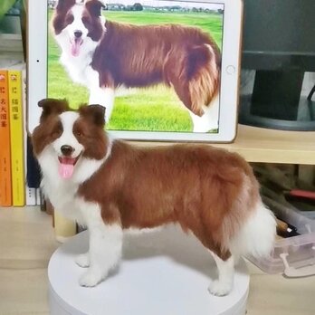 【受注作製】羊毛フェルト、うちの子、犬ぬいぐるみ、フェルト犬、ペットの肖像画、犬猫人形、トイプードル、ペットロス、うちのこ記念日の画像