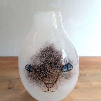 cats2の画像