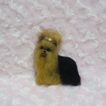 羊毛フェルト  犬  ヨークシャーテリア  ヨーキー  ブローチ  ハンドメイドの画像