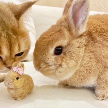 オーダーメイドペット】羊毛フェルトウサギ、うちの子 うさぎ、ぬいぐるみ、フェルト、肖像画、人形 プレゼントやギフトにのコピーのコの画像
