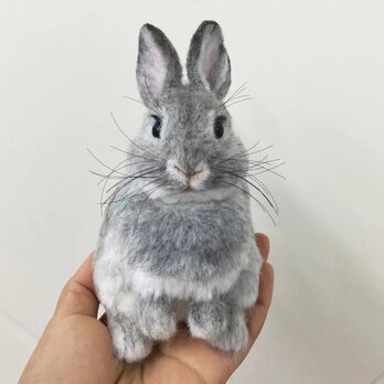 オーダーメイドペット】羊毛フェルトウサギ、うちの子 うさぎ、ぬいぐるみ、フェルト、肖像画、人形 プレゼントやギフトにのコピーのコの画像