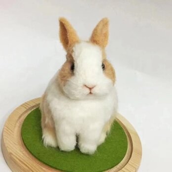 オーダーメイドペット】羊毛フェルトウサギ、うちの子 うさぎ、ぬいぐるみ、フェルト、肖像画、人形 プレゼントやギフトにのコピーのコの画像