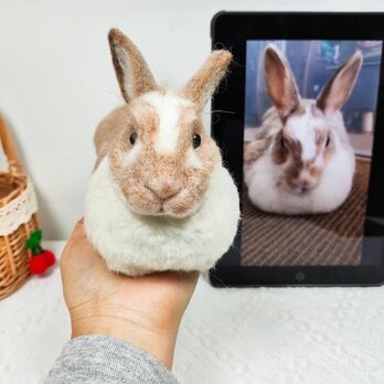 オーダーメイドペット】羊毛フェルトウサギ、うちの子 うさぎ、ぬいぐるみ、フェルト、肖像画、人形 プレゼントやギフトにのコピーのコの画像