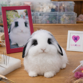 羊毛フェルト そっくり ウサギ オーダーメイド｜写真から作る ペットリアル ぬいぐるみ｜うさぎロス メモリアル レプリカ