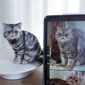 【受注作製】羊毛フェルト、うちの子、猫ぬいぐるみ、フェルト猫、ペットの肖像画、犬猫人形、トイプードル、ペットロス、うちのこ記念日の画像