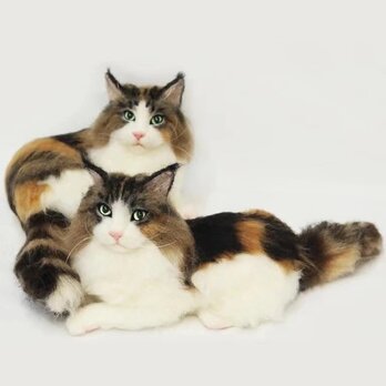 【受注作製】羊毛フェルト、うちの子、猫ぬいぐるみ、フェルト猫、ペットの肖像画、犬猫人形、トイプードル、ペットロス、うちのこ記念日の画像