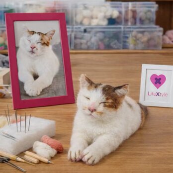 羊毛フェルト そっくり ペット オーダーメイド｜写真から作る ペット リアル ぬいぐるみ｜愛犬 愛猫 うちの子 ロス プレゼント