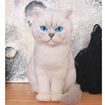 【受注作製】羊毛フェルト、うちの子、猫ぬいぐるみ、フェルト猫、ペットの肖像画、犬猫人形、トイプードル、ペットロス、うちのこ記念日の画像
