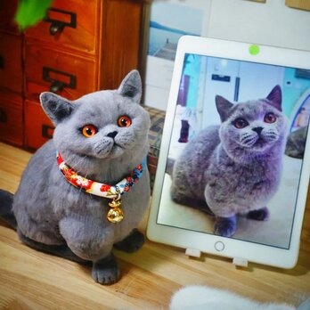 【受注作製】羊毛フェルト、うちの子、猫ぬいぐるみ、フェルト猫、ペットの肖像画、犬猫人形、トイプードル、ペットロス、うちのこ記念日の画像