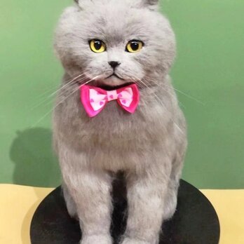 【受注作製】羊毛フェルト、うちの子、猫ぬいぐるみ、フェルト猫、ペットの肖像画、犬猫人形、トイプードル、ペットロス、うちのこ記念日の画像